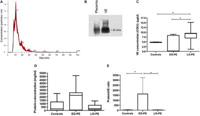 Assessment of Placental Extracellular Vesicles-Associated Fas Ligand and TNF-Related Apoptosis-Inducing Ligand in Pregnancies Complicated by Early and Late Onset Preeclampsia